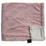 WINX & BLINX MINKY BLANKET