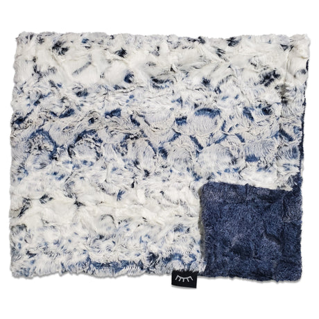 WINX & BLINX MINKY BLANKET