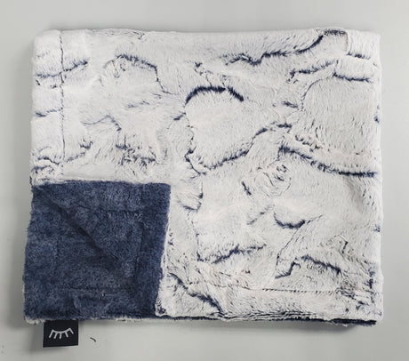 WINX & BLINX MINKY BLANKET