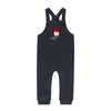 ELYS & CO AUTUMN KIDS OVERALL + MOCKNECK SET