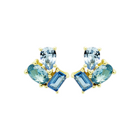 9EP207 DLUX GP SS ASSORTED SHAPES POST EARRINGS