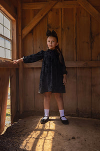 817DR BONDOUX GIRLS VELVET PRINT DRESS