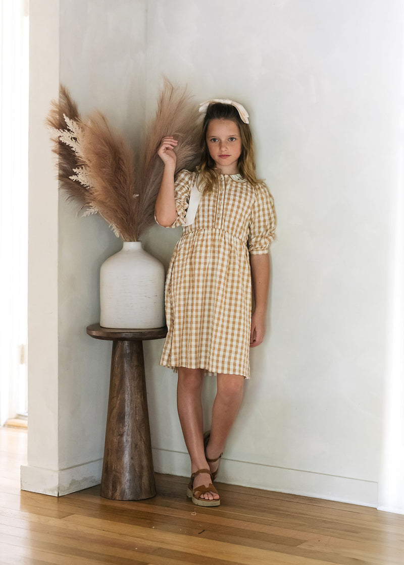ANALOGIE GINGHAM SHORT SLEEVE DRESS