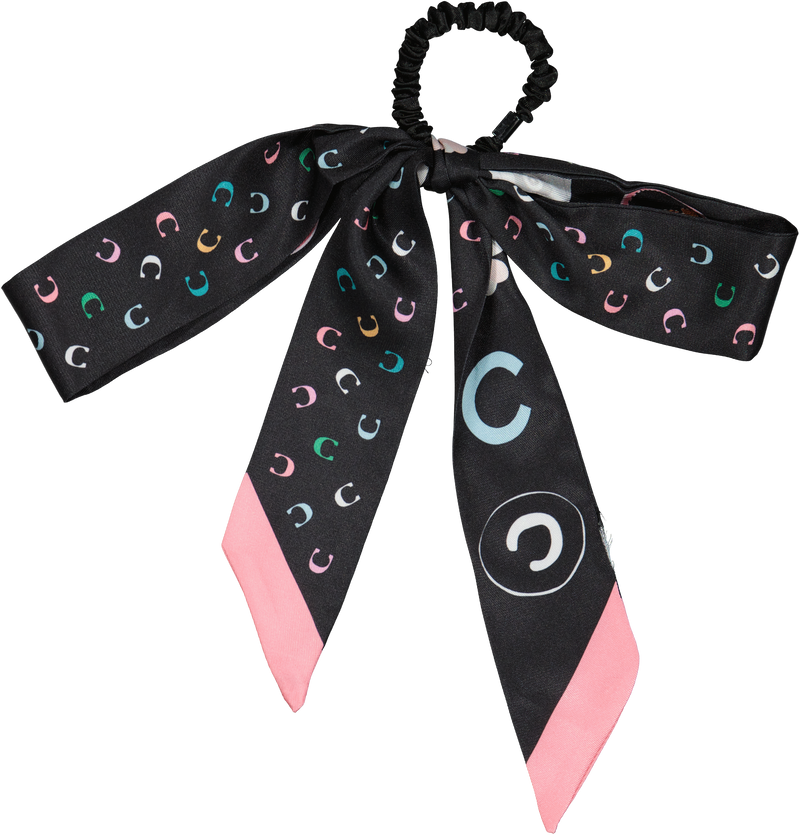 PN4392 DACEE SCARF PONY