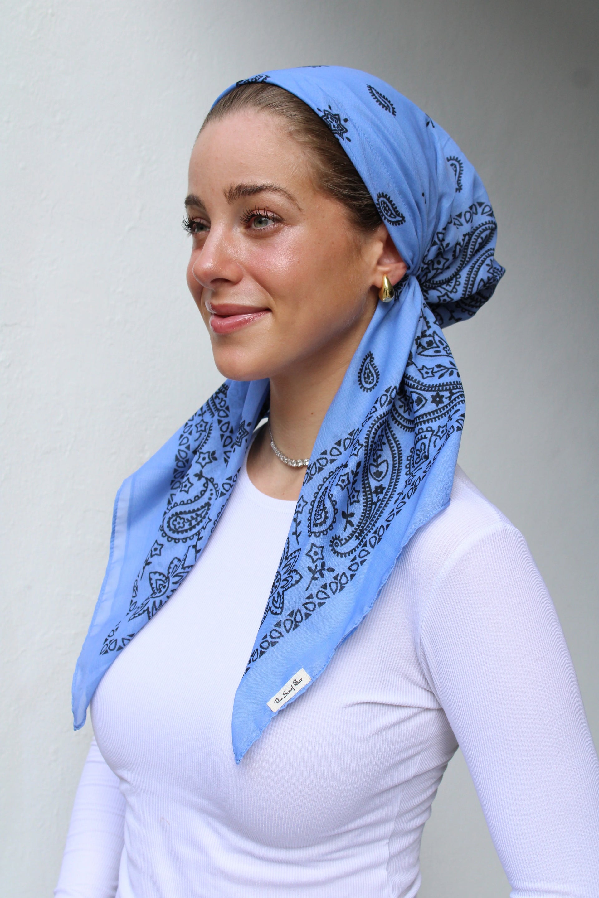 SCARF BAR SHORT PAISLEY PRETIED W/ VELVET GRIP DUSTY BLUE