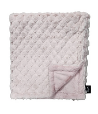 WINX & BLINX MINKY BLANKET