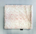 WINX & BLINX MINKY BLANKET