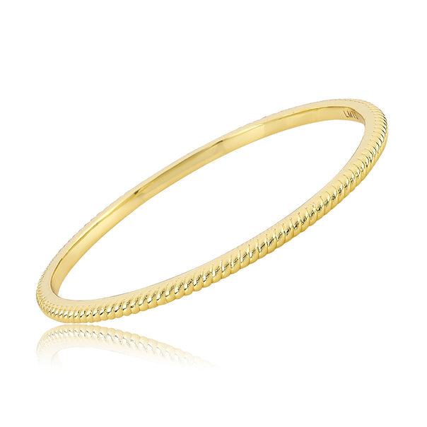 BN0937B LMTS 14K GP ROPE BANGLE